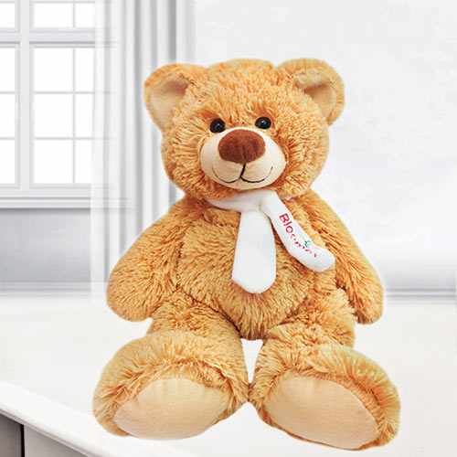 Medium Size Cuddly Teddy Bear