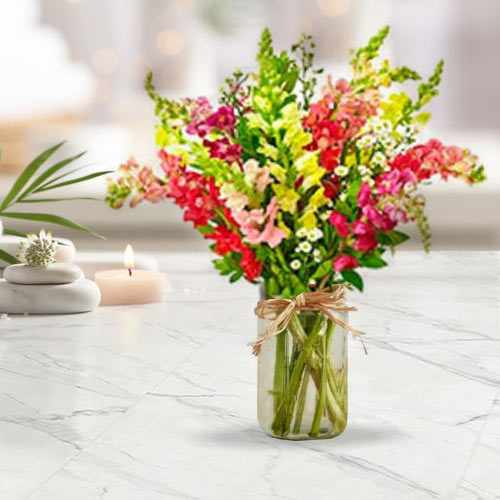 8 Multi-Colour Snapdragons in a Mason Jar