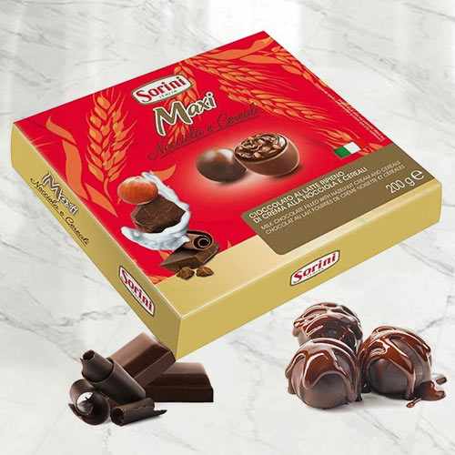 Sorini Maxi Italian Milk & Dark Chocolate Box