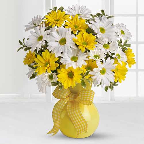 Bouquet of 36 White and Yellow Daisies