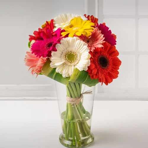 6 Stunning Gerbera Daisies Bouquet