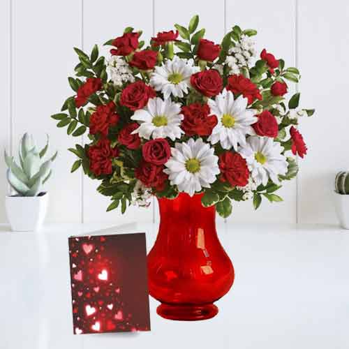 Red Rose and Carnation with White Daisies and Card