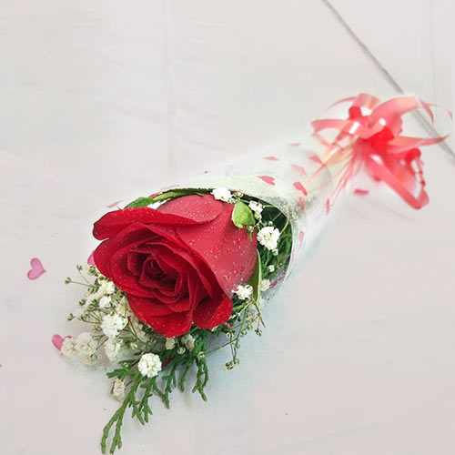 Single Romantic Red Rose